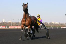 Amateur de trot, voici 5 astuces pour gagner tous les jours…