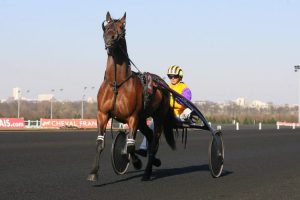 Lire la suite à propos de l’article Amateur de trot, voici 5 astuces pour gagner tous les jours…