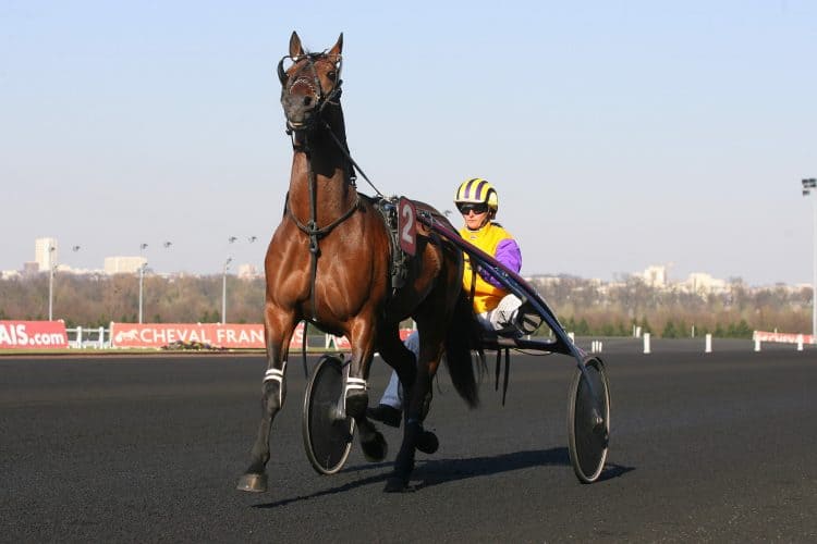 You are currently viewing Amateur de trot, voici 5 astuces pour gagner tous les jours…