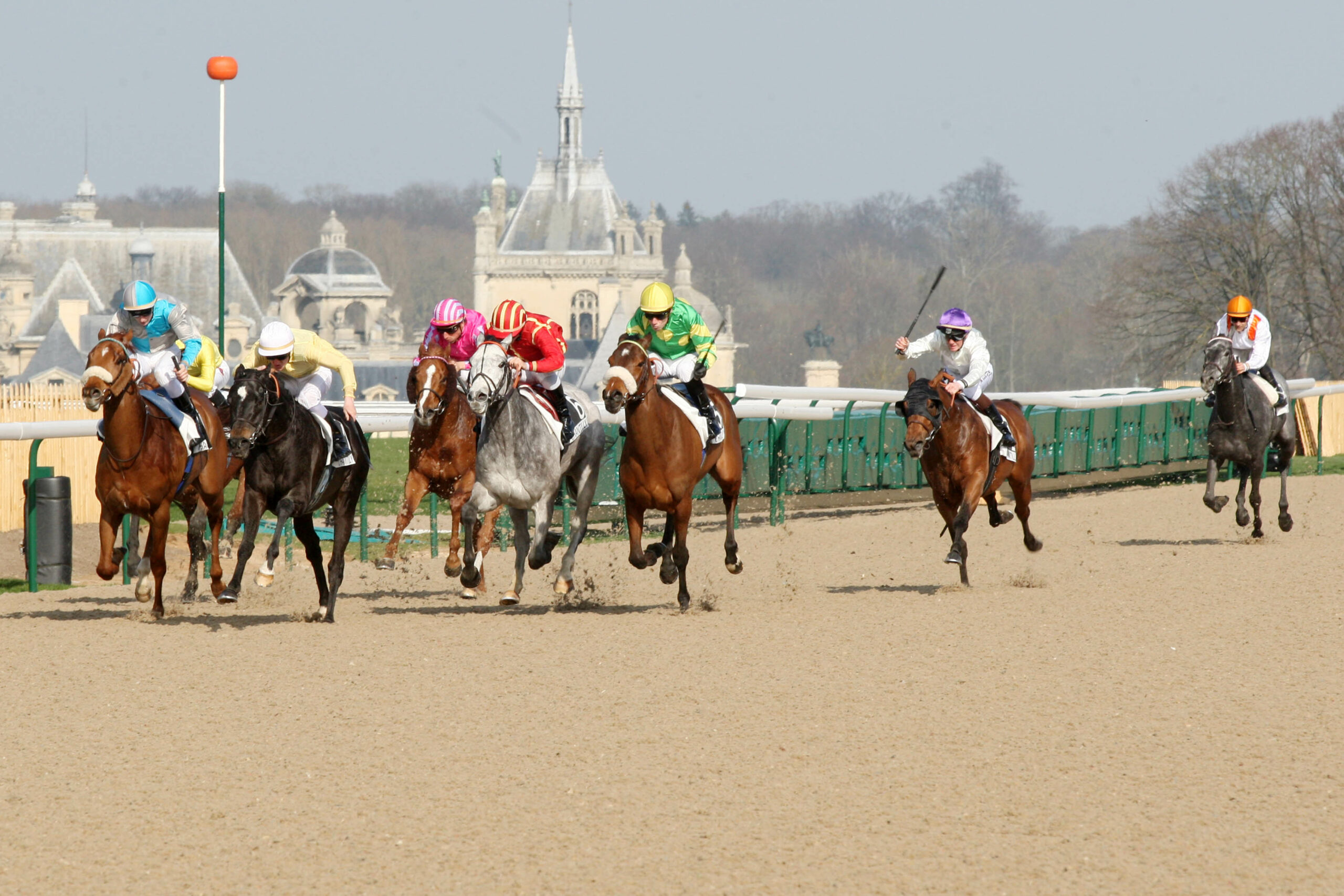 You are currently viewing Multi 7 : gagnez même s’il vous manque 3 chevaux !