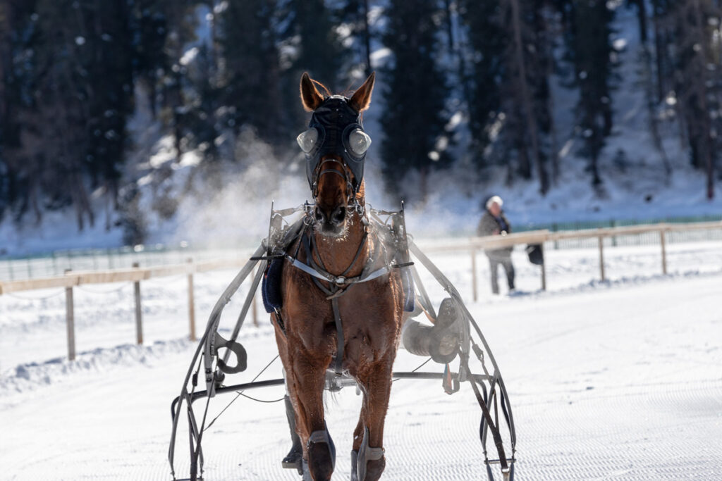 Les chevaux saisonniers sont un atout pour vos prochains jeux.
