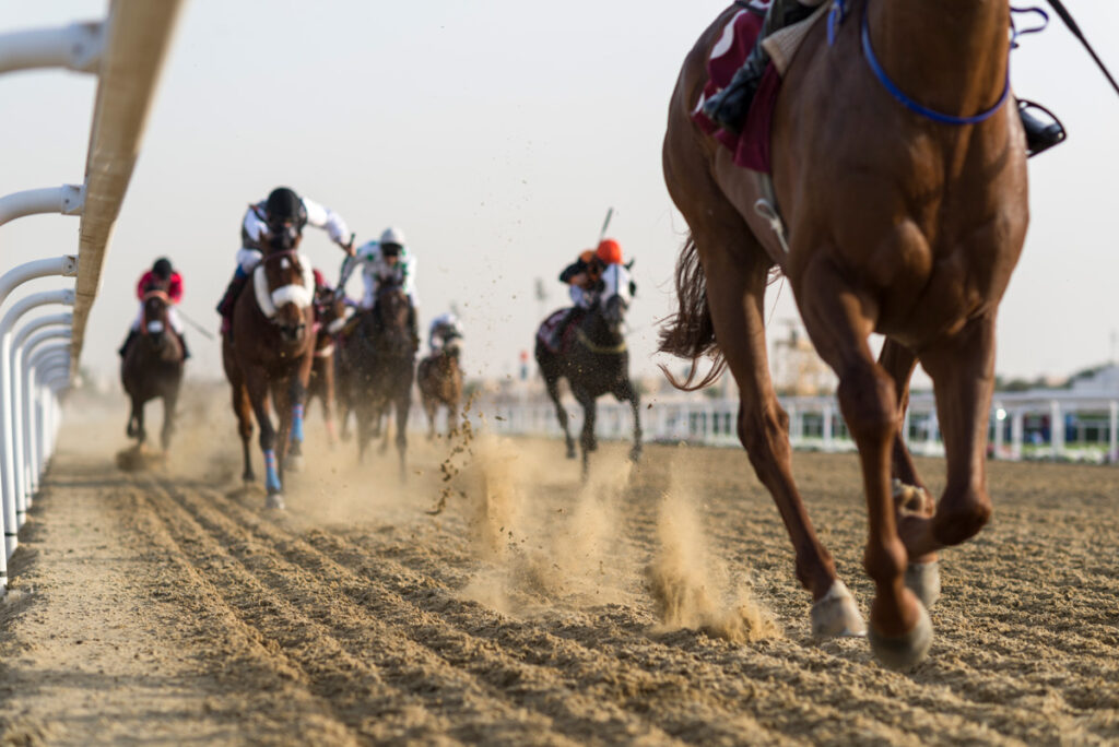 La référence dans les courses de galop est un indice clé pour repérer les futurs gagnants.