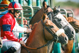 Maiden : comment détecter un cheval prêt pour sa première victoire