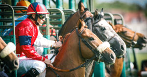 Lire la suite à propos de l’article Maiden : comment détecter un cheval prêt pour sa première victoire