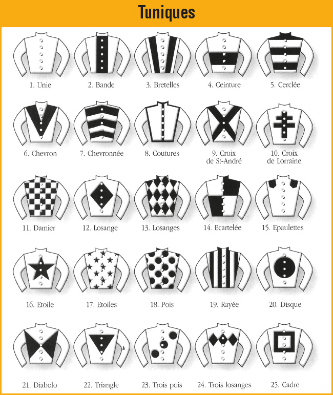 Les motifs des tuniques des casaques