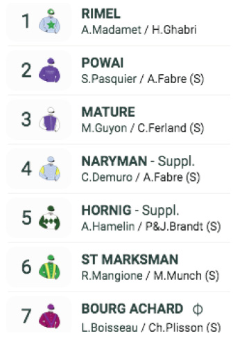 Voici comment apparaissent les casaques sur le site Paris-Turf