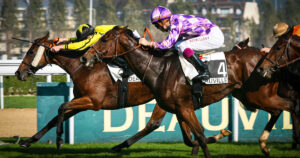 Lire la suite à propos de l’article Couplé gagnant : mode d’emploi pour jouer en champ réduit