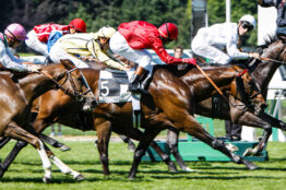 ParisLongchamp : quels sont les numéros les plus performants ?
