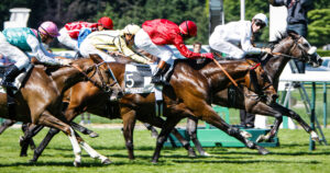 Lire la suite à propos de l’article ParisLongchamp : quels sont les numéros les plus performants ?