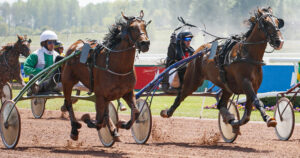 Lire la suite à propos de l’article Suivez ces 2 entraîneurs qui cartonnent sur leur hippodrome favori