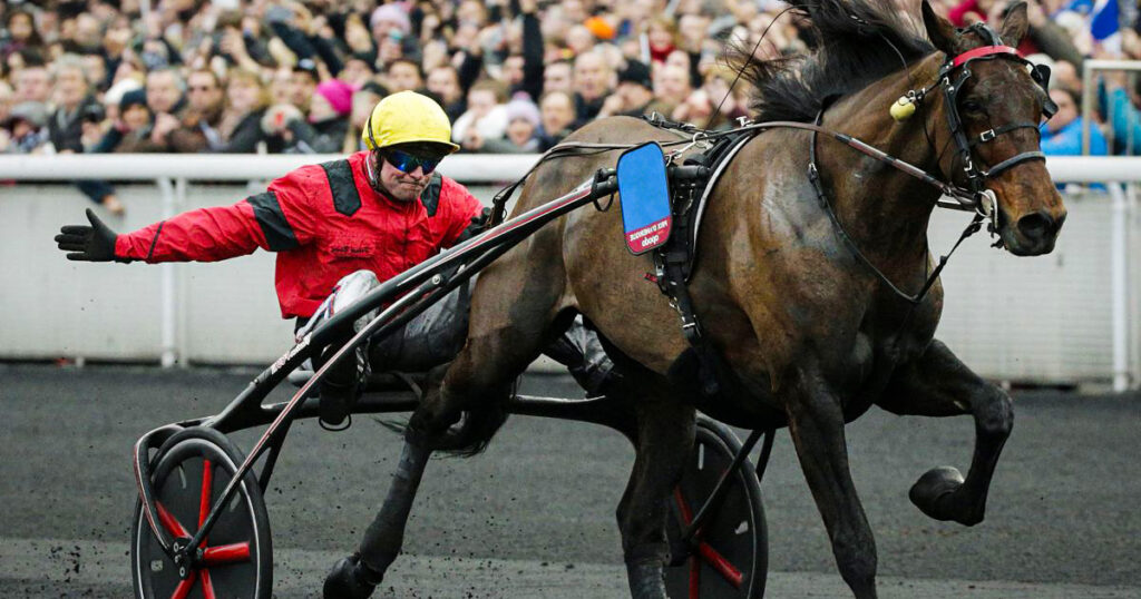 Repérez les futurs gagnants au trot