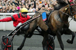 Repérez les futurs gagnants au trot, avant les autres parieurs !
