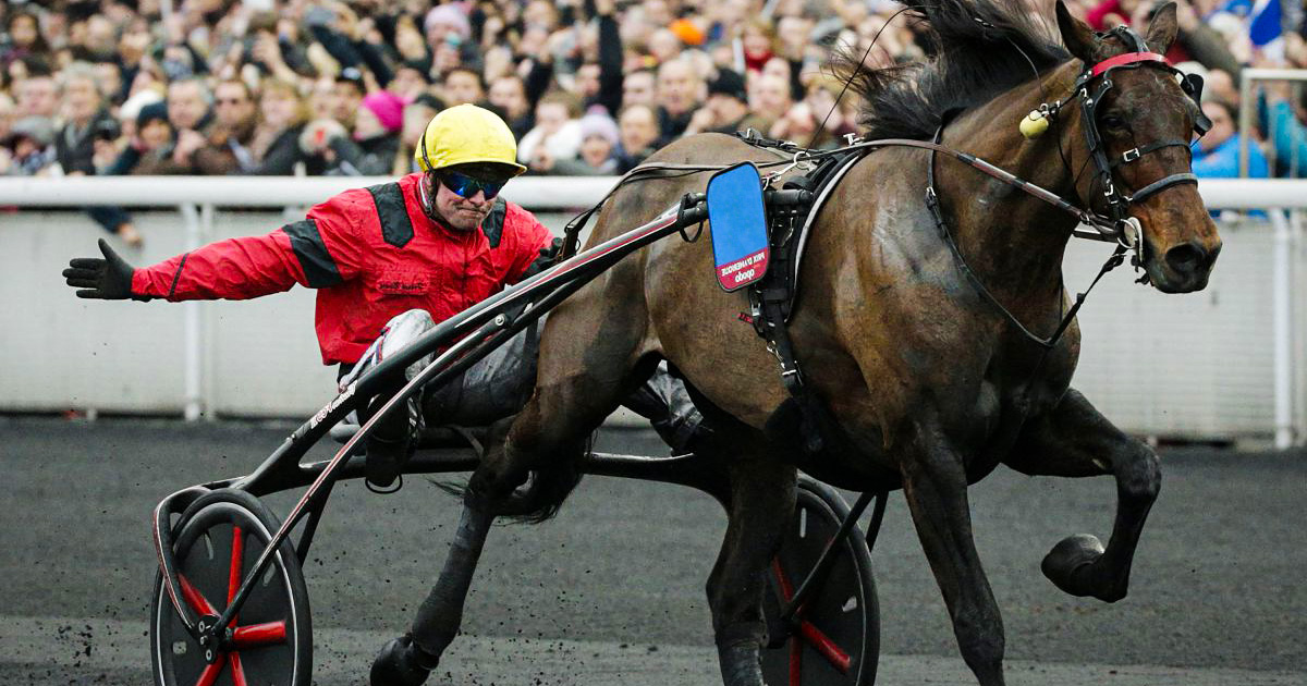 You are currently viewing Repérez les futurs gagnants au trot, avant les autres parieurs !