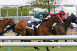 Quel cheval jouer dans une course de « maidens » ?