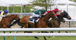 Lire la suite à propos de l’article Quel cheval jouer dans une course de « maidens » ?