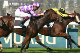 Mini-Multi 4 : voici comment viser le gain record de 15 916,50 € !