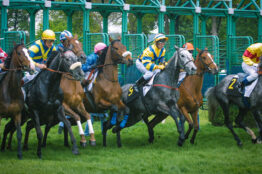 Gagnez à Vichy avec les numéros de corde les plus performants !