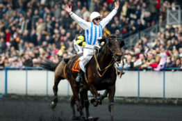 Voici comment trouver un cheval sûr dans presque n’importe quelle course