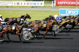 Trot attelé : exploitez les « rendements de distance » pour trouver le prochain gagnant !