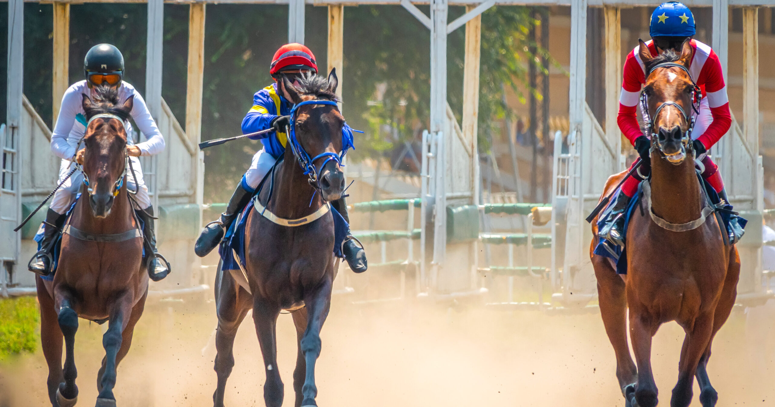 You are currently viewing Le “triangle” : la technique des pros pour faire fructifier vos Couplés