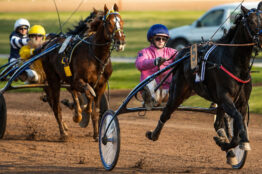 Misez sur les courses de 10 à 13 partants avec le Mini Multi 4